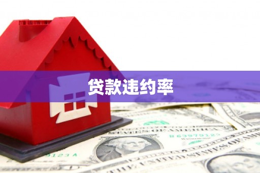 长兴贷款违约率