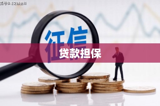长兴贷款担保