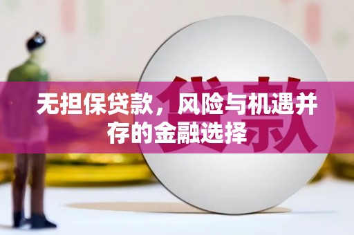 长兴无担保贷款，风险与机遇并存的金融选择