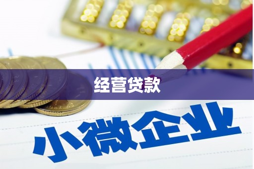 长兴经营贷款