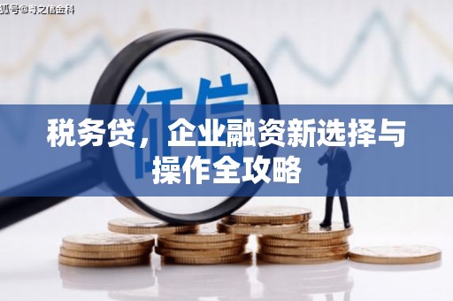 长兴税务贷，企业融资新选择与操作全攻略