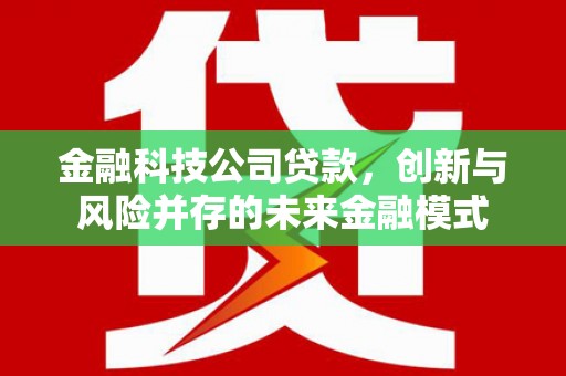 长兴金融科技公司贷款，创新与风险并存的未来金融模式
