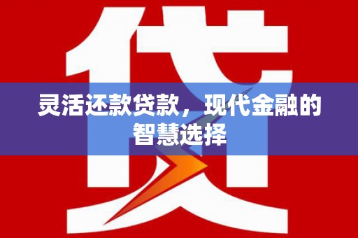 长兴灵活还款贷款，现代金融的智慧选择