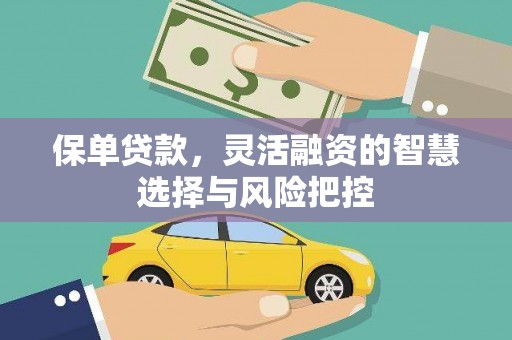 长兴保单贷款，灵活融资的智慧选择与风险把控