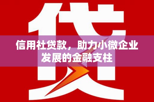 长兴信用社贷款，助力小微企业发展的金融支柱