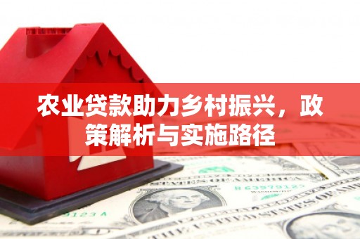 长兴农业贷款助力乡村振兴，政策解析与实施路径