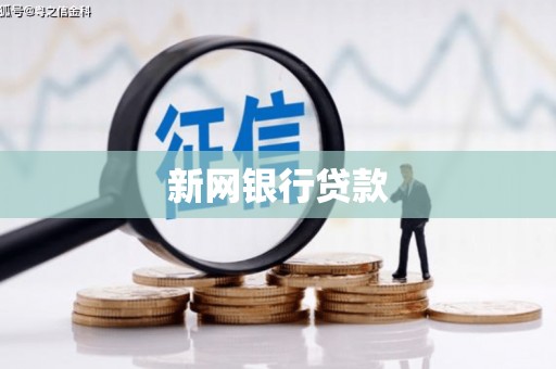 长兴新网银行贷款