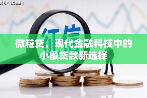 长兴微粒贷，现代金融科技中的小额贷款新选择