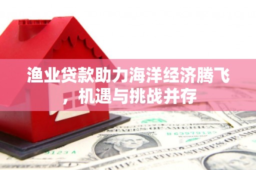 长兴渔业贷款助力海洋经济腾飞，机遇与挑战并存