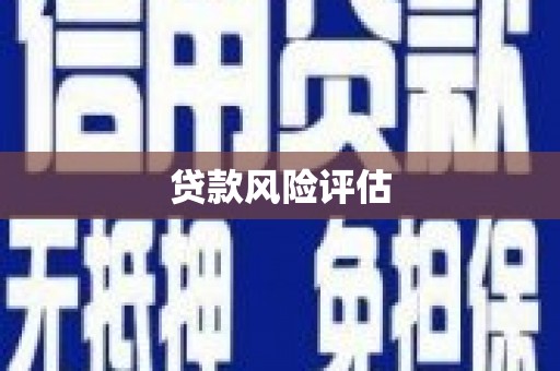 长兴贷款风险评估