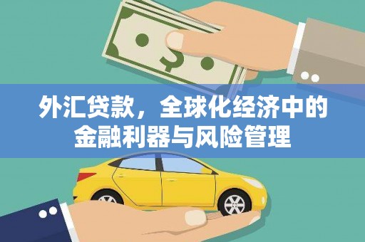 长兴外汇贷款，全球化经济中的金融利器与风险管理