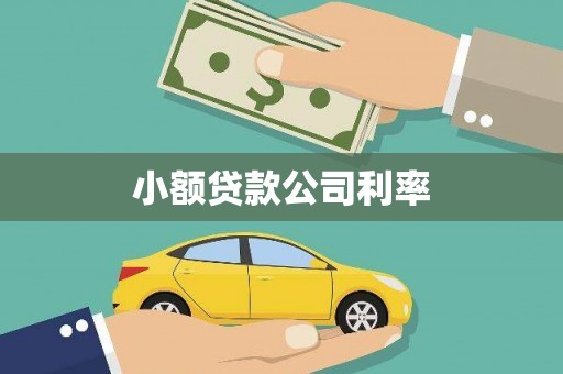 长兴小额贷款公司利率