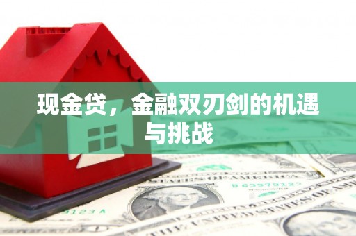 长兴现金贷，金融双刃剑的机遇与挑战