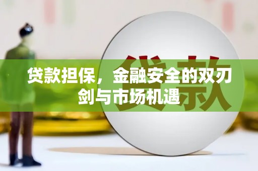 长兴贷款担保，金融安全的双刃剑与市场机遇