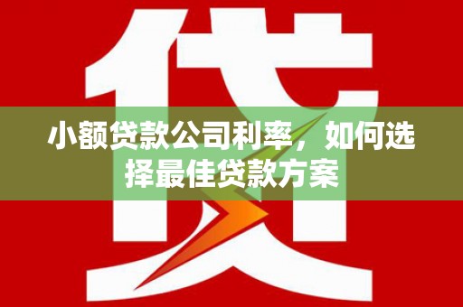 长兴小额贷款公司利率，如何选择最佳贷款方案
