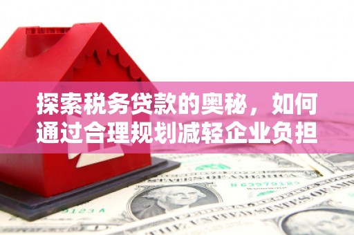 长兴探索税务贷款的奥秘，如何通过合理规划减轻企业负担