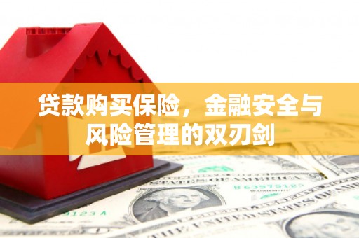 长兴贷款购买保险，金融安全与风险管理的双刃剑
