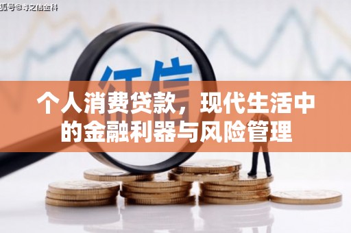 长兴个人消费贷款，现代生活中的金融利器与风险管理