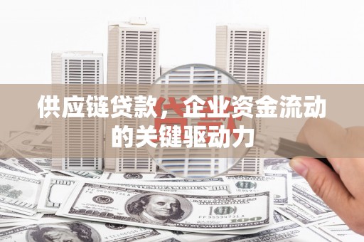 长兴供应链贷款，企业资金流动的关键驱动力