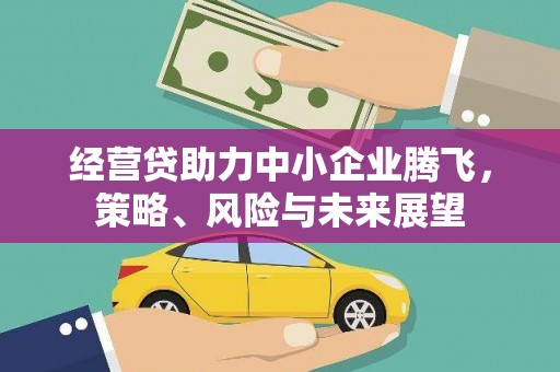 长兴经营贷助力中小企业腾飞，策略、风险与未来展望