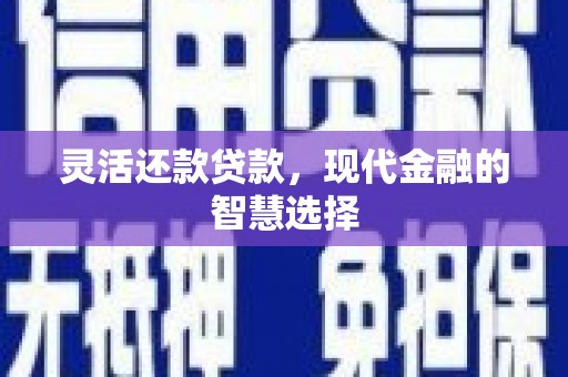 长兴灵活还款贷款，现代金融的智慧选择