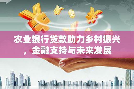 长兴农业银行贷款助力乡村振兴，金融支持与未来发展
