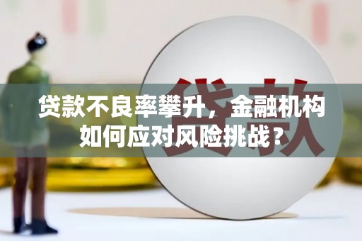 长兴贷款不良率攀升，金融机构如何应对风险挑战？
