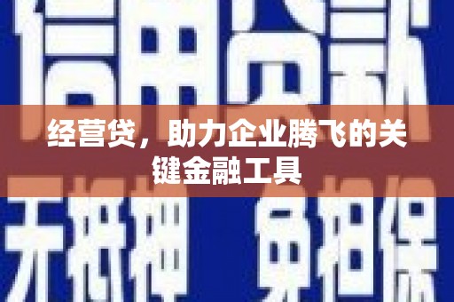长兴经营贷，助力企业腾飞的关键金融工具