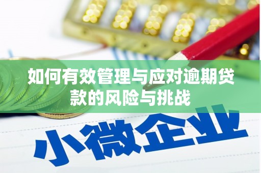 长兴如何有效管理与应对逾期贷款的风险与挑战