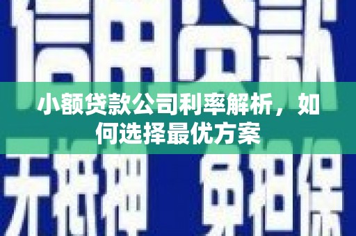 长兴小额贷款公司利率解析，如何选择最优方案