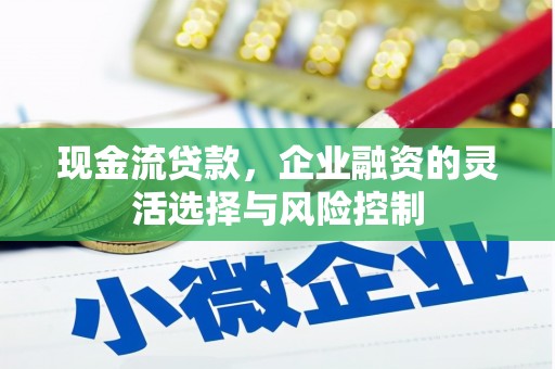 长兴现金流贷款，企业融资的灵活选择与风险控制