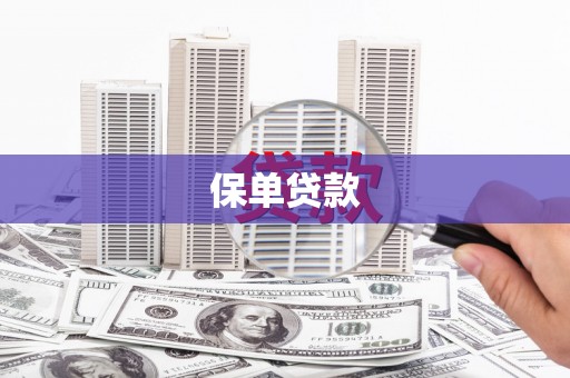 长兴保单贷款