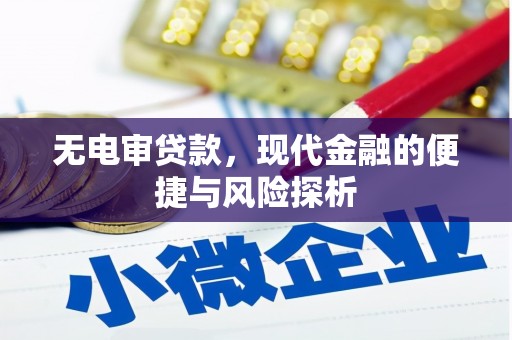长兴无电审贷款，现代金融的便捷与风险探析