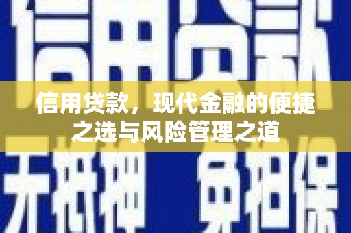 长兴信用贷款，现代金融的便捷之选与风险管理之道