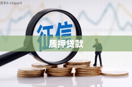 长兴质押贷款