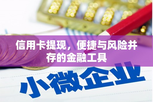 长兴信用卡提现，便捷与风险并存的金融工具