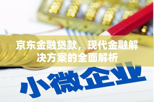 长兴京东金融贷款，现代金融解决方案的全面解析