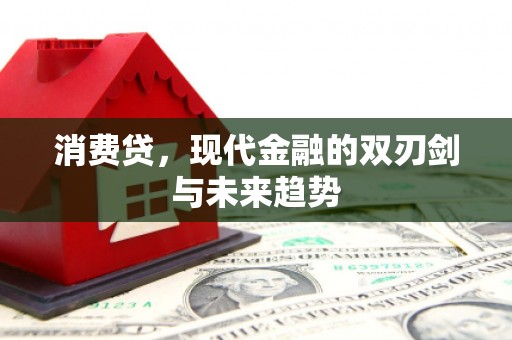 长兴消费贷，现代金融的双刃剑与未来趋势