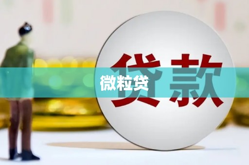 长兴微粒贷
