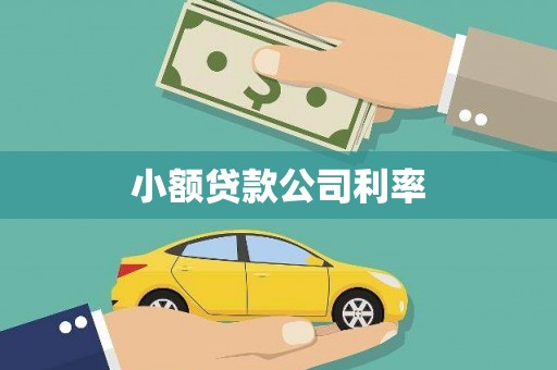长兴小额贷款公司利率