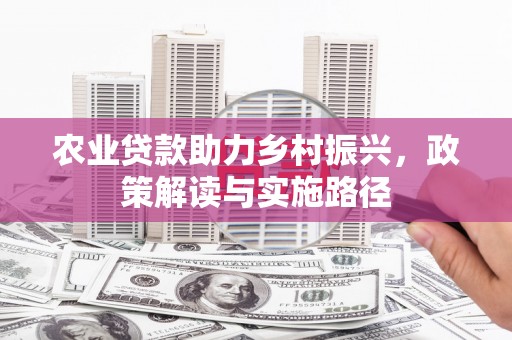 长兴农业贷款助力乡村振兴，政策解读与实施路径