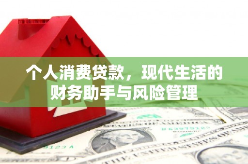 长兴个人消费贷款，现代生活的财务助手与风险管理