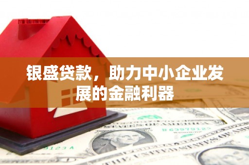 长兴银盛贷款，助力中小企业发展的金融利器