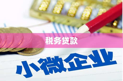 长兴税务贷款