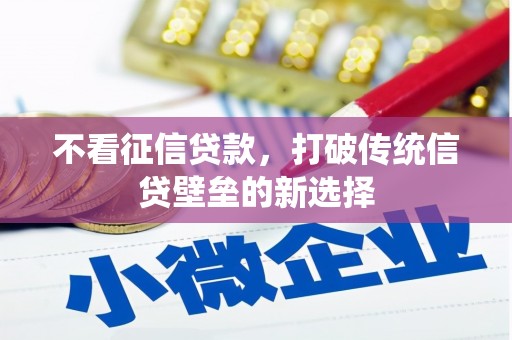 长兴不看征信贷款，打破传统信贷壁垒的新选择