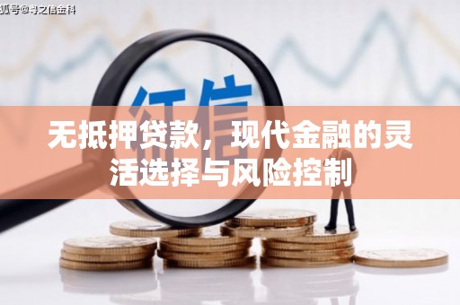 长兴无抵押贷款，现代金融的灵活选择与风险控制