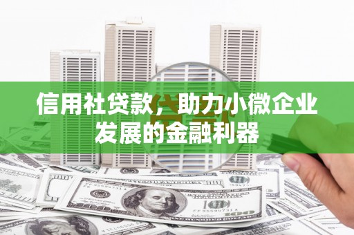 长兴信用社贷款，助力小微企业发展的金融利器