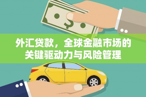 长兴外汇贷款，全球金融市场的关键驱动力与风险管理