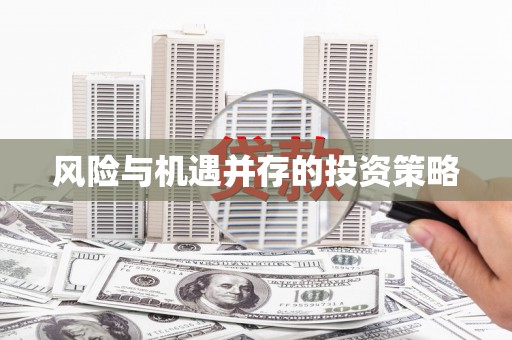长兴风险与机遇并存的投资策略
