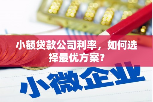 长兴小额贷款公司利率，如何选择最优方案？